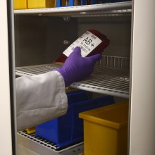 Low temperature labels